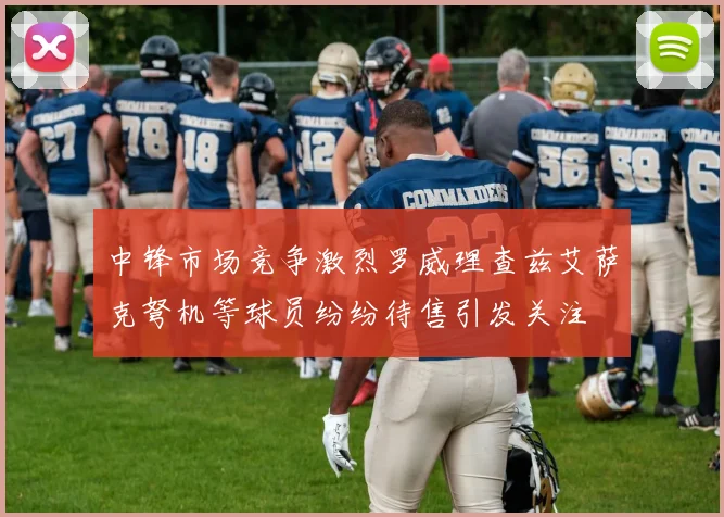 中锋市场竞争激烈罗威理查兹艾萨克弩机等球员纷纷待售引发关注