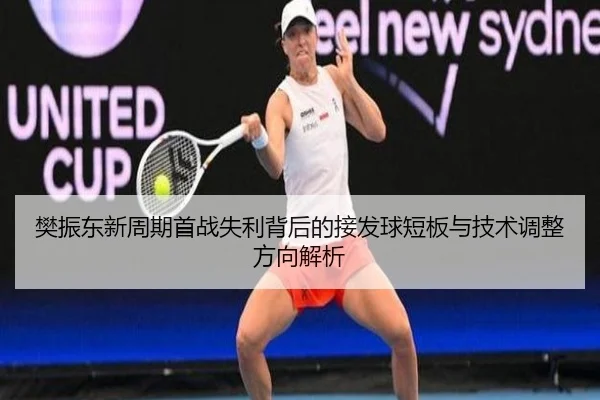 樊振东新周期首战失利背后的接发球短板与技术调整方向解析（xingkong）